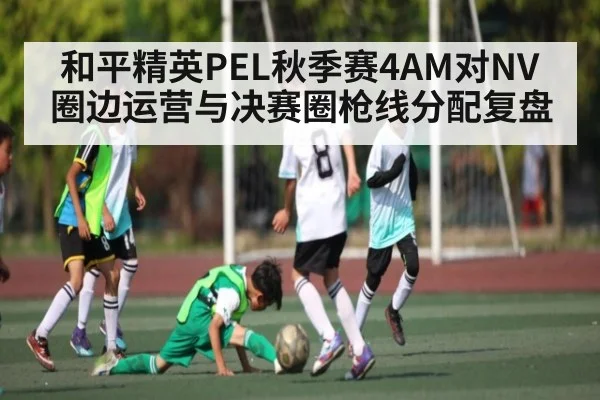 和平精英PEL秋季赛4AM对NV圈边运营与决赛圈枪线分配复盘